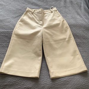 Aritzia Babaton Long Wide Leg Short